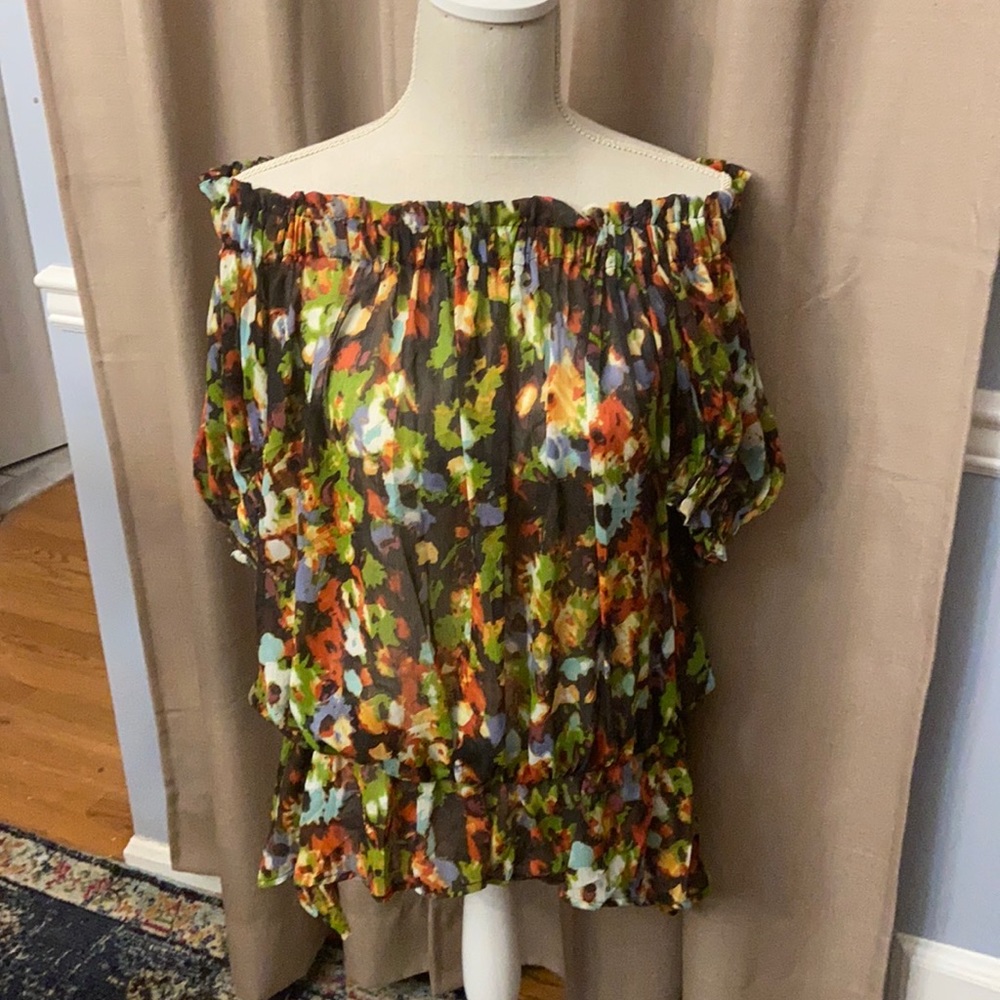 Perfect for Fall BNWOT, sheer off-shoulder top, M